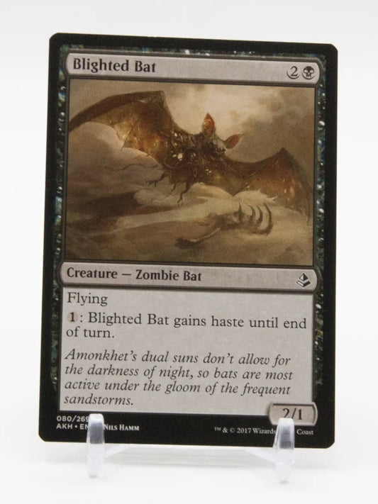 Blighted Bat 2017 MTG Amonkhet #080/269