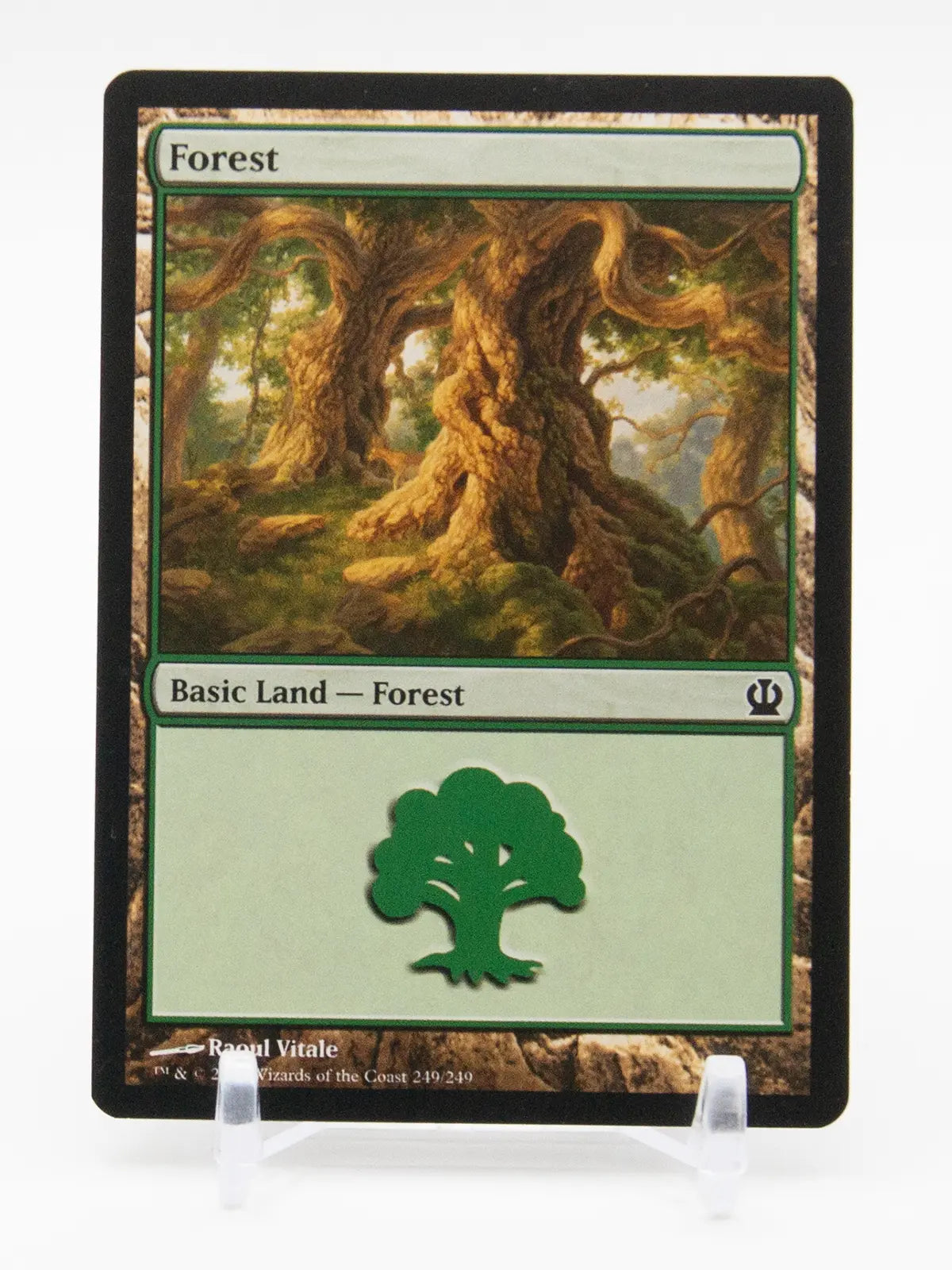 Forest 2013 MTG Theros #249/249