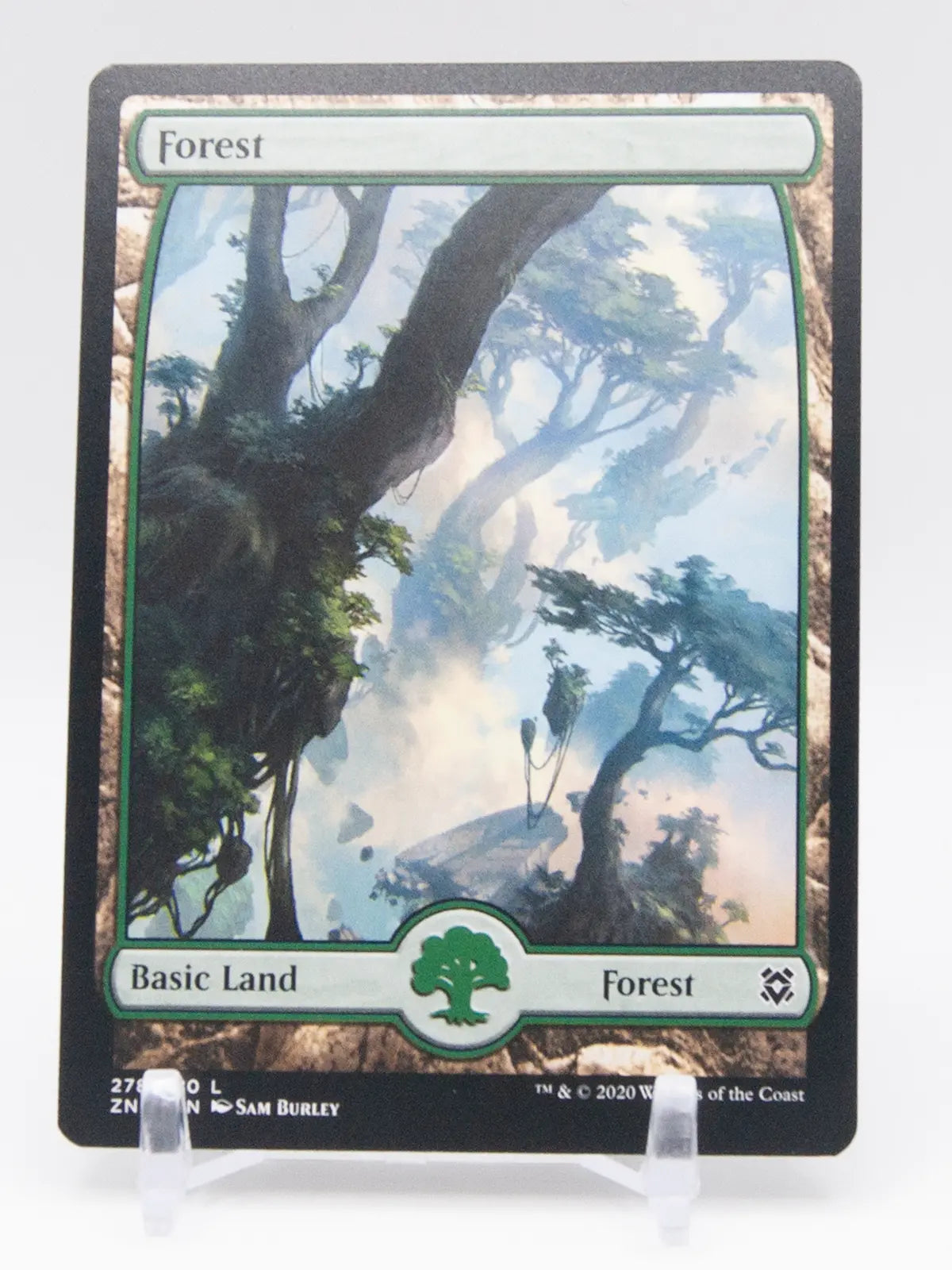 Forest 2020 MTG Zendikar Rising #278