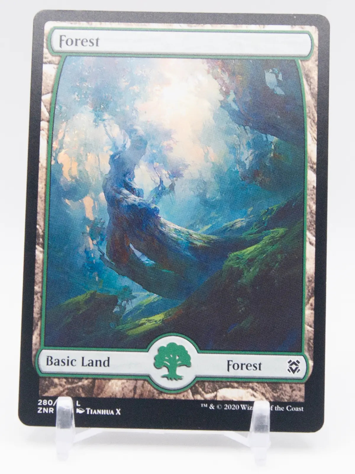 Forest 2020 MTG Zendikar Rising #280