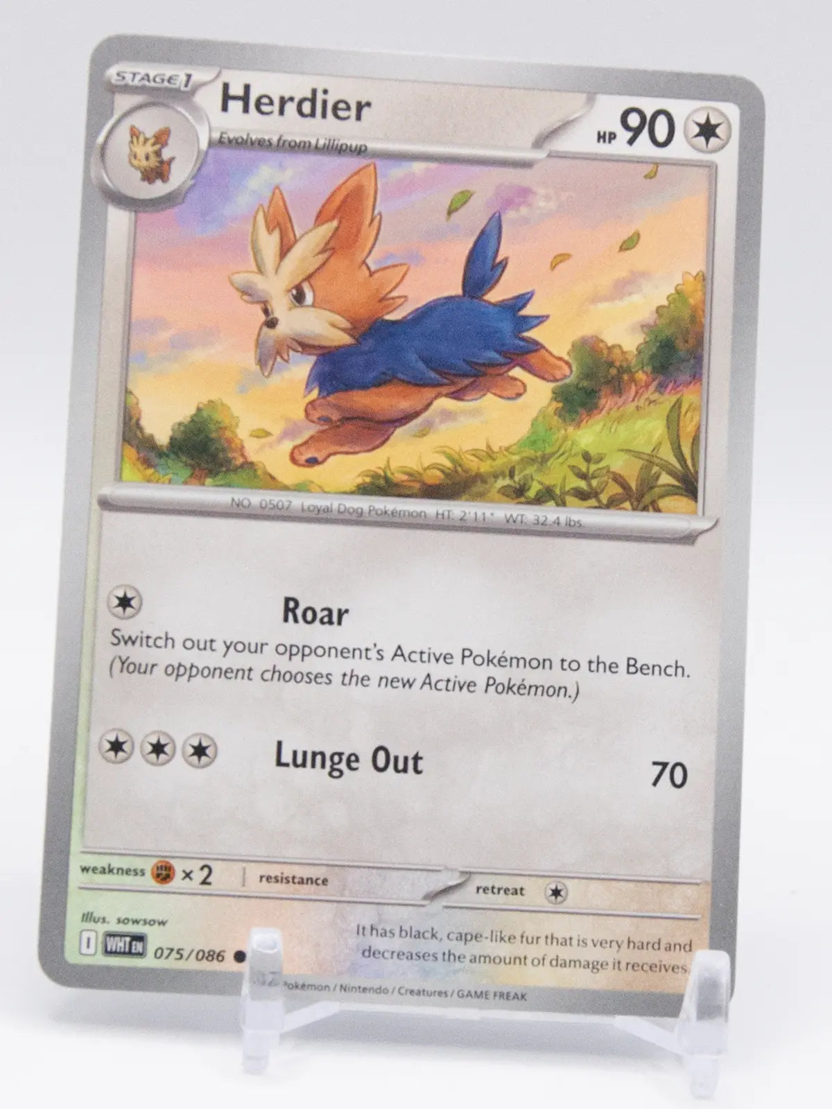 Herdier 2025 Pokémon White Flare #075/086