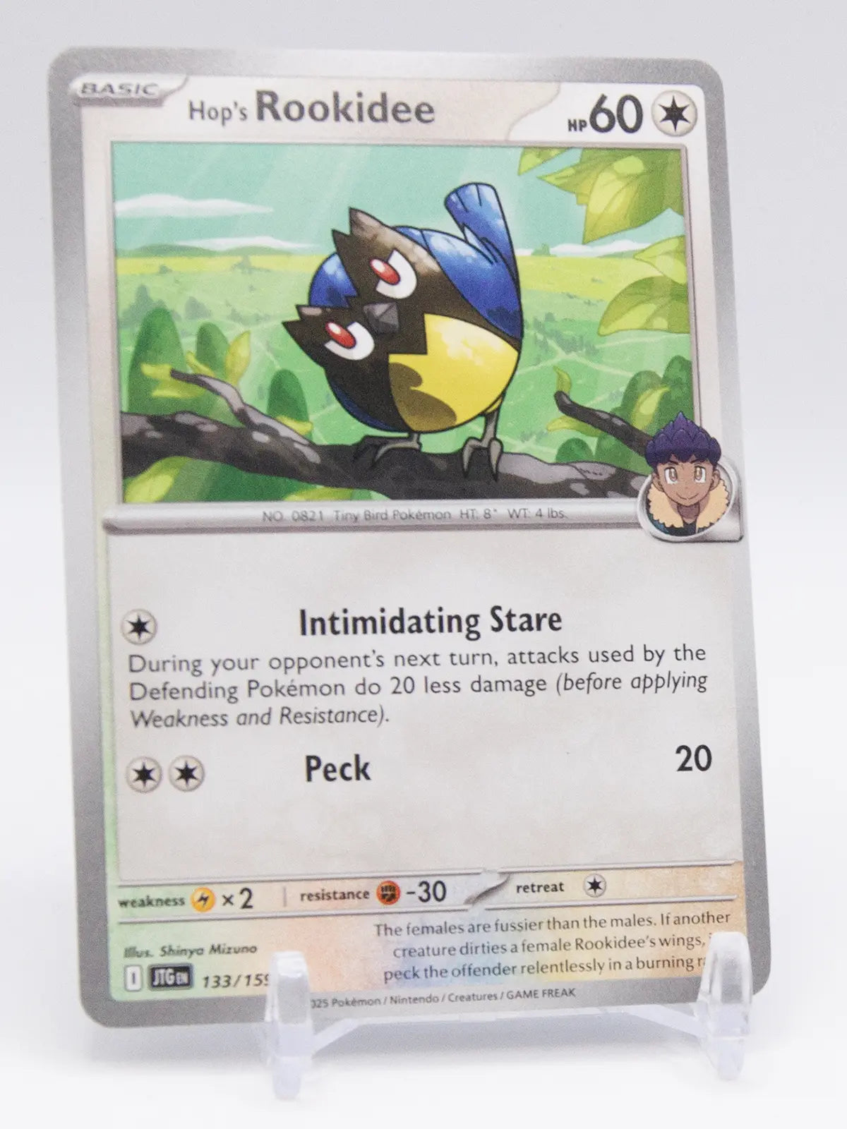 Hop's Rookidee 2025 Pokémon Journey Together #133/159