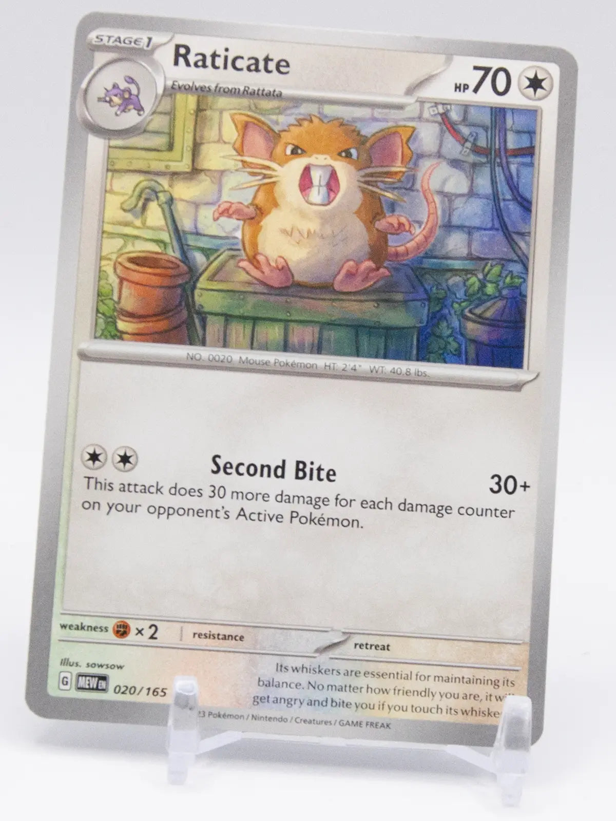 Raticate 2023 Pokémon 151 #020/165